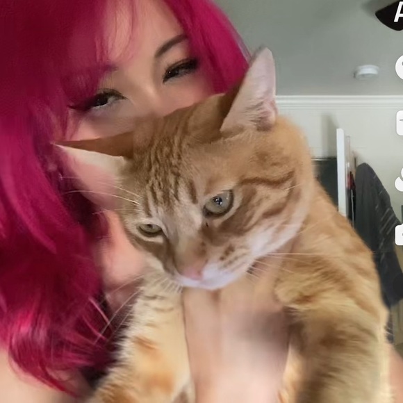 Meet your Posher, Luvmely - Picture 2 of 3